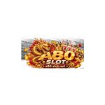a80 slot