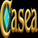 caseapolska