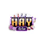 haywincv9