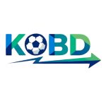 kqbd24hinnet