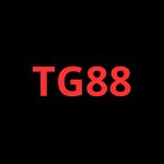 tg88innet1