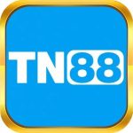 tn888top
