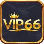 VIP66
