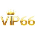 vip66official