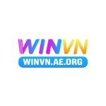 winvnaeorg9